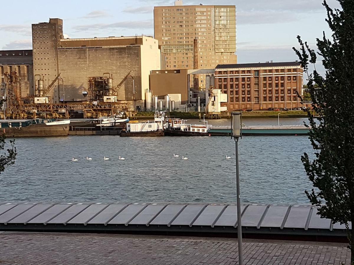 Sewdien's Maashaven * Rotterdam